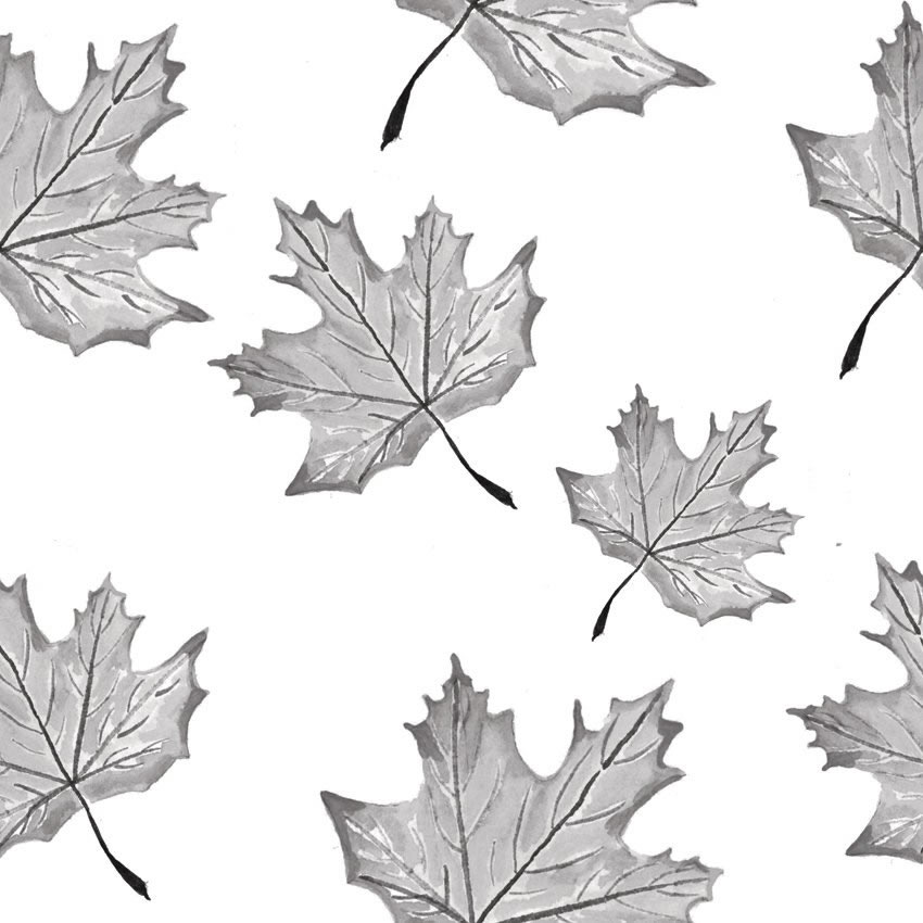 foglie che cadono carta da parati