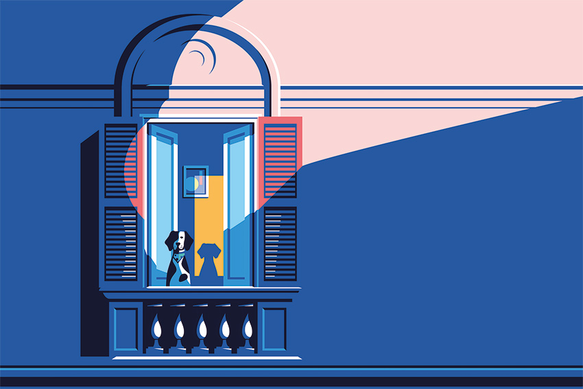 window paw carta da parati