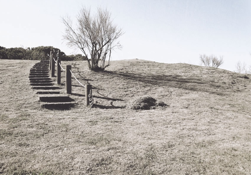 scale su prato carta da parati