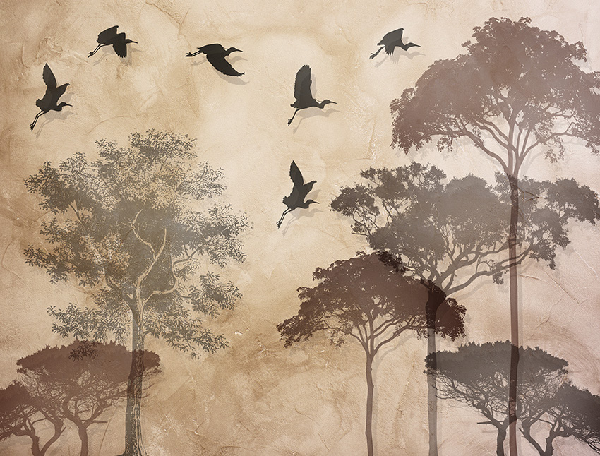 pineta carta da parati