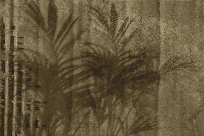 ombre su cartone carta da parati