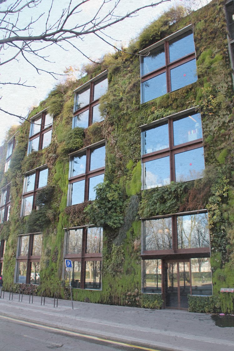parete verde verticale palazzina con muro verde
